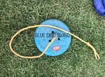 Blue Disc Swing