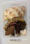 Nature set 1