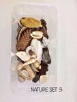 Nature set 3