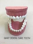 Giant Dental Care Teeth