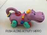 Push Along Activity Hippo