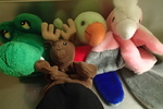 D5: Animal puppets