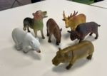 RP30: Animals