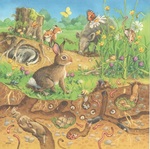 Land Habitat Puzzle