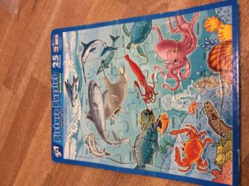 1625: Under Sea Jigsaw Puzzle