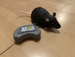 Remote Control Rat