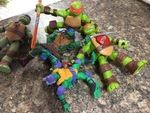 Ninja Turtles