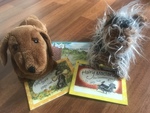 Puppets - Hairy Maclary & Schnitzel plus books