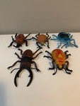 5 Assorted bugs
