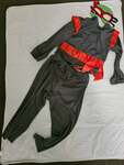 Ninja turtle costume