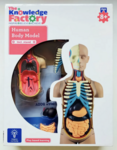Human Body Model