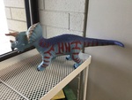 Blue Triceratops 