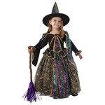 Witch’s dress up with broom and hat