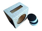 Coin Box Puzzle (Montessori slot toy)