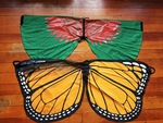 Monarch Butterfly and Kea Wings