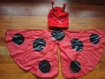 Ladybird and Butterfly Wings & Hoods