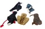 Native Bird Puppets