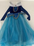 Costume - Frozen Anna dress (lgr version)