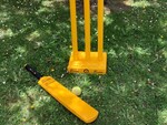 Cricket Set