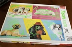 P2: Neon Colour lines - 1000 piece