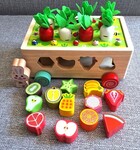 Montessori Carrot wheels 