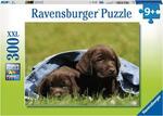 Labrador Pups Puzzle 300pc