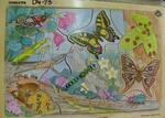 Insect puzzle