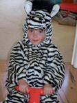 Zebra Suit
