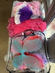 Fairy costume party pack 