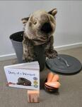 Story Sack: Diary of a Wombat
