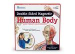 Double Sided Magnetic Human Body