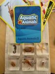 Sea Life Specimen Set