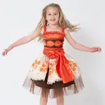 Moana Costume (medium, 4-6 years)