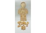 Wooden Anatomy Puzzle