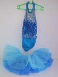 Blue Sequin Dance Costume