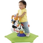 Fisher Price Bounce & Spin Zebra