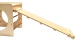 1591: Wooden Reversible Climbing Ramp & Slide