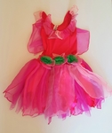 Fairy Costume