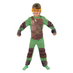 Ninga Turtles costume