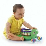 600: Roll A Rounds Twirlin Whirlin Turtle