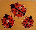 LADYBIRD KNOB PUZZLE