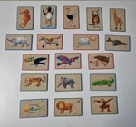 723: ANIMAL HEAD TAIL BODY PUZZLE BOX