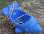 Dolphin Swing