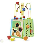 Bead Maze and Shape Sorter 