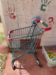Bunnings Trolley