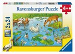 Ravensburger Pond Puzzle Set of 2 
