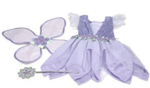 Fairy Costume 