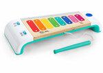 D79: Baby Einstein Magic Touch Xylophone