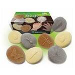 Let's Investigate Bugs