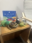 First Nations Storytelling Kit - We All Sleep